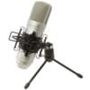 Micrófono de Condensador TASCAM TM80