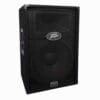 Parlante Pasivo PEAVEY PV-1015